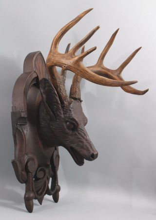 19th Antique Life Size Carved Walnut Black Forest Stag Deer Head,  Victorian,  Nr