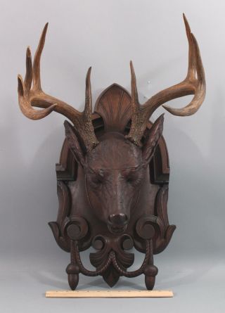 19th Antique Life Size Carved Walnut Black Forest Stag Deer Head,  Victorian,  NR 2