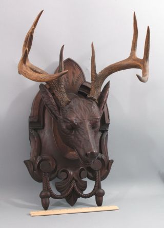 19th Antique Life Size Carved Walnut Black Forest Stag Deer Head,  Victorian,  NR 3