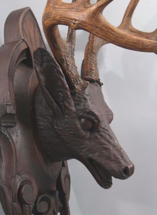 19th Antique Life Size Carved Walnut Black Forest Stag Deer Head,  Victorian,  NR 9
