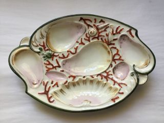 Oyster Plate Antique Porcelain Oyster Plate C1800 