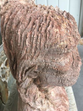 RARE Antique Indian head soft basalt rock - 10