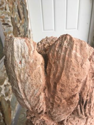 RARE Antique Indian head soft basalt rock - 12
