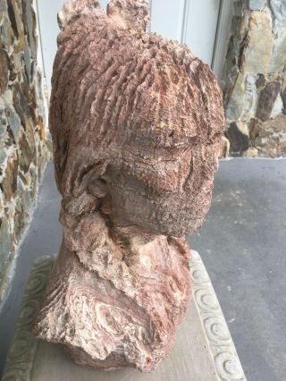 RARE Antique Indian head soft basalt rock - 2