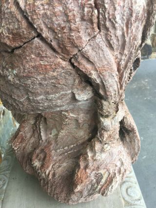 RARE Antique Indian head soft basalt rock - 7