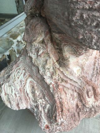 RARE Antique Indian head soft basalt rock - 9