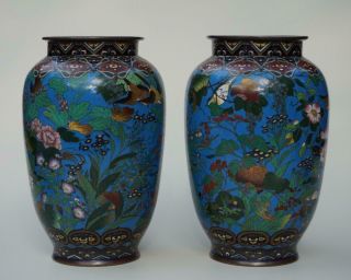 Fine Japanese Cloisonné Vases,  Meiji Ca.  1900.