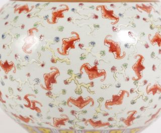 Chinese Porcelain Bottle Vase with Iron Red Bats and Overglaze Decoration 4