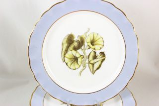 SET 11 PLATES ROYAL WORCESTER CHINA Z2091 AH WILLIAMSON PALE BLUE GOLD FLOWERS 6