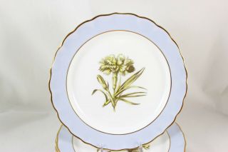 SET 11 PLATES ROYAL WORCESTER CHINA Z2091 AH WILLIAMSON PALE BLUE GOLD FLOWERS 7