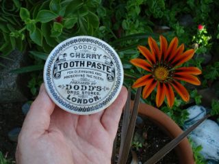 Antique,  fancy border,  Dodd ' s Drug Stores LONDON pharmacy ToothPaste jar pot lid 7