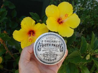 Antique,  fancy border,  Dodd ' s Drug Stores LONDON pharmacy ToothPaste jar pot lid 9