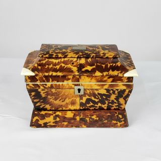 Exceptional English Regency George Iii Faux Tortoiseshell Tea Caddy