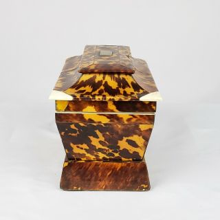 EXCEPTIONAL ENGLISH REGENCY GEORGE III FAUX TORTOISESHELL TEA CADDY 4