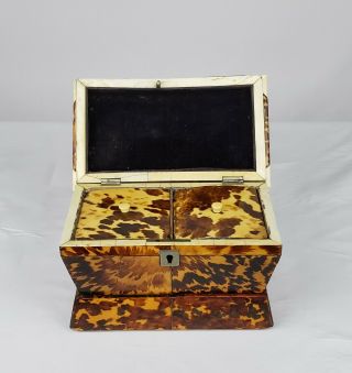 EXCEPTIONAL ENGLISH REGENCY GEORGE III FAUX TORTOISESHELL TEA CADDY 8