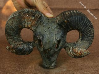 8.  8 " China Hongshan Culture Old Jade Beast Sheep Head Skeleton Skull Statue 143