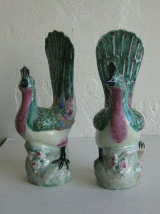 Fine Antique Chinese Porcelain Famille Rose Peacock Statue Figures Signed Pair