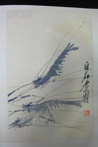 Rare Old Large Chinese Hand Painting Vivid Shrimps Album Book Marked 