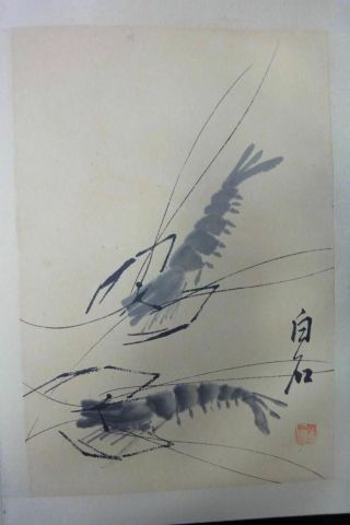 Rare Old Large Chinese Hand Painting Vivid Shrimps Album Book Marked 