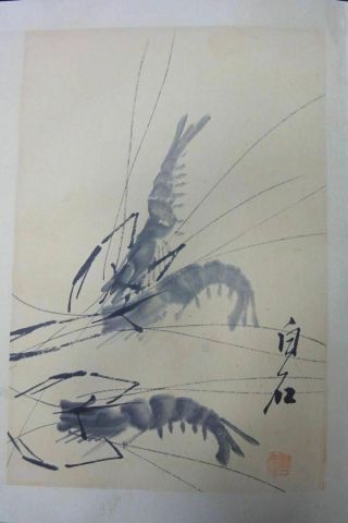 Rare Old Large Chinese Hand Painting Vivid Shrimps Album Book Marked 