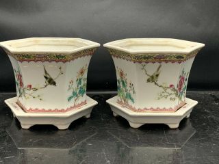 Pair Antique Chinese Porcelain Families Rose Plant Pot And Stand 19/20th Century