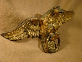 Authentic Federal carved American eagle with banner hoop in talons gold gilding 6