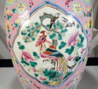 Peranakan Nyonya Straits Chinese Porcelain Phoenix Jar - 56157 2