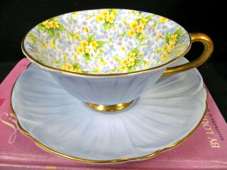 Shelley Oleander Primrose Chintz Blue Tea Cup And Saucer Bone China Teacup