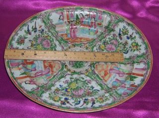 Vintage Circa 1880 Chinese Rose Medallion Large Platter 14 1/2 Inches Long 2