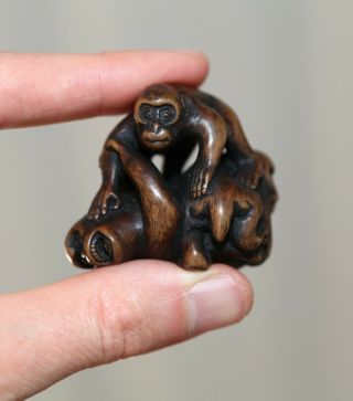 Antique Japanese Carved Boxwood Netsuke Of Monkeys,  Signed Masanao,  19th Century