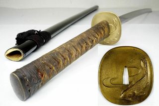 Authentic Japanese Katana Sword 250yr Antique Samurai Nihonto W Koi Carp Tsuba