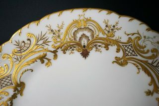Gilman Collamore & Co France 12 Gorgeous Gold Enamel China Cabinet Dinner Plates 3