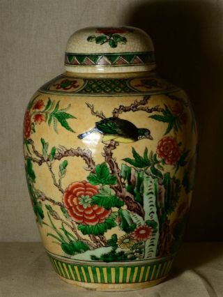Antique Chinese Export Famille Verte Hp Porcelain Pottery 12 " Ginger Storage Jar