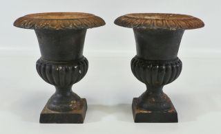 Antique French Medici Neoclassical Cast Iron Garden Urn Planter Set