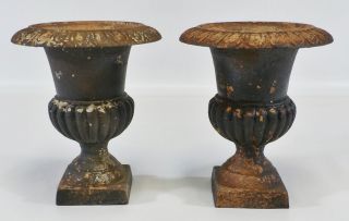 Antique French Medici Neoclassical Cast Iron Garden Urn Planter Set 3