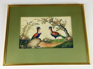 Antique 19th Century Chinese Pith Painting - Exotic Birds Watercolour - Rice Paper
