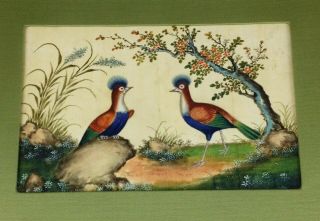 Antique 19th Century Chinese Pith Painting - Exotic Birds Watercolour - Rice Paper 2