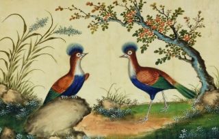 Antique 19th Century Chinese Pith Painting - Exotic Birds Watercolour - Rice Paper 4