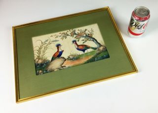 Antique 19th Century Chinese Pith Painting - Exotic Birds Watercolour - Rice Paper 5