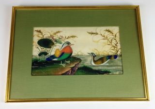 Antique 19th Century Chinese Pith Painting - Exotic Birds - Old Gouache Rice Paper