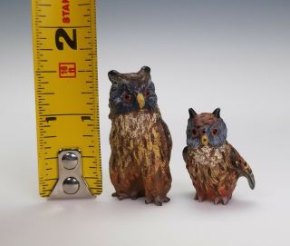 ANTIQUE VIENNA AUSTRIAN COLD - PAINTED BRONZE MINIATURE OWL BIRD FIGURES 9