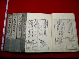 4 - 75 Rikushi Japanese Bird Plant Animal Woodblock Print 5 Book