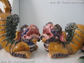 Chinese Royal Wu Cai Porcelain Animal Two Foo Fu Dog Lion Play Ball Pair