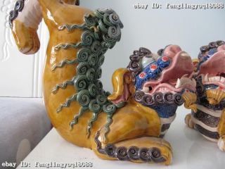 Chinese royal Wu Cai porcelain animal Two Foo FU Dog Lion Play Ball Pair 5