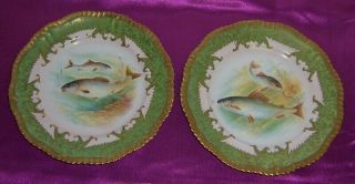 Vintage 9 Signed Cabinet Plates Hand Painted Fish Scenes Ovington Brothers 2