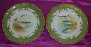 Vintage 9 Signed Cabinet Plates Hand Painted Fish Scenes Ovington Brothers 5