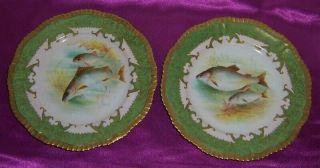 Vintage 9 Signed Cabinet Plates Hand Painted Fish Scenes Ovington Brothers 8