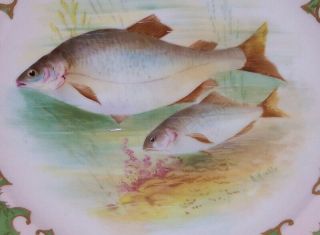 Vintage 9 Signed Cabinet Plates Hand Painted Fish Scenes Ovington Brothers 9