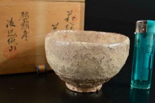 S4984: Japanese Old Hagi - ware White glaze TEA BOWL for Nodate,  auto w/signed box 9