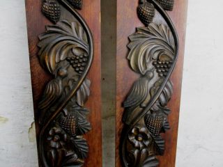 French Pair Antique Corbels Hand Carved Wood Pediment Birds Architectural Wow